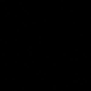 Meet your Posher, Anne g